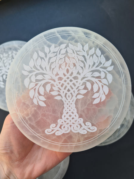Tree of Life Selenite Discs 15cm