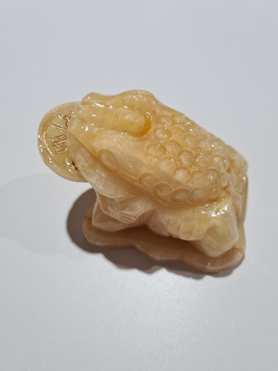 Orange Calcite Money Frogs Aquarius Crystals