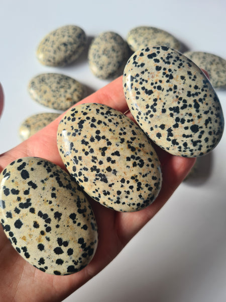 Dalmation Jasper Palm Stones