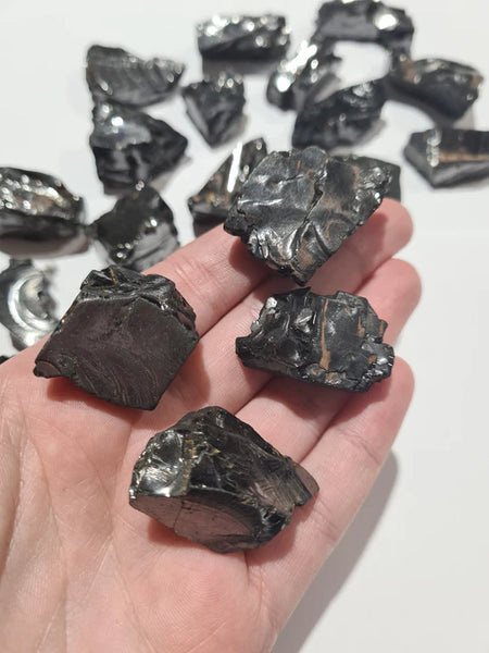 Raw Noble Shungite Small 10G