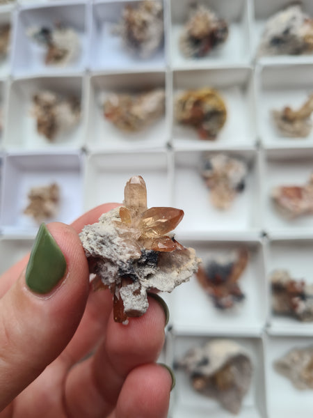 Imperial Topaz from Mexico