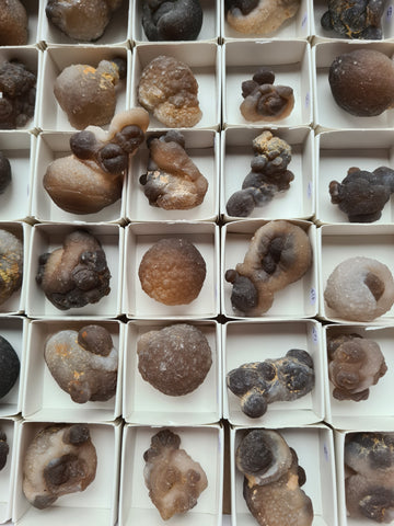 Brown Chalcedony Nodules
