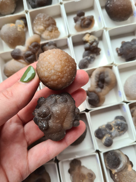 Brown Chalcedony Nodules