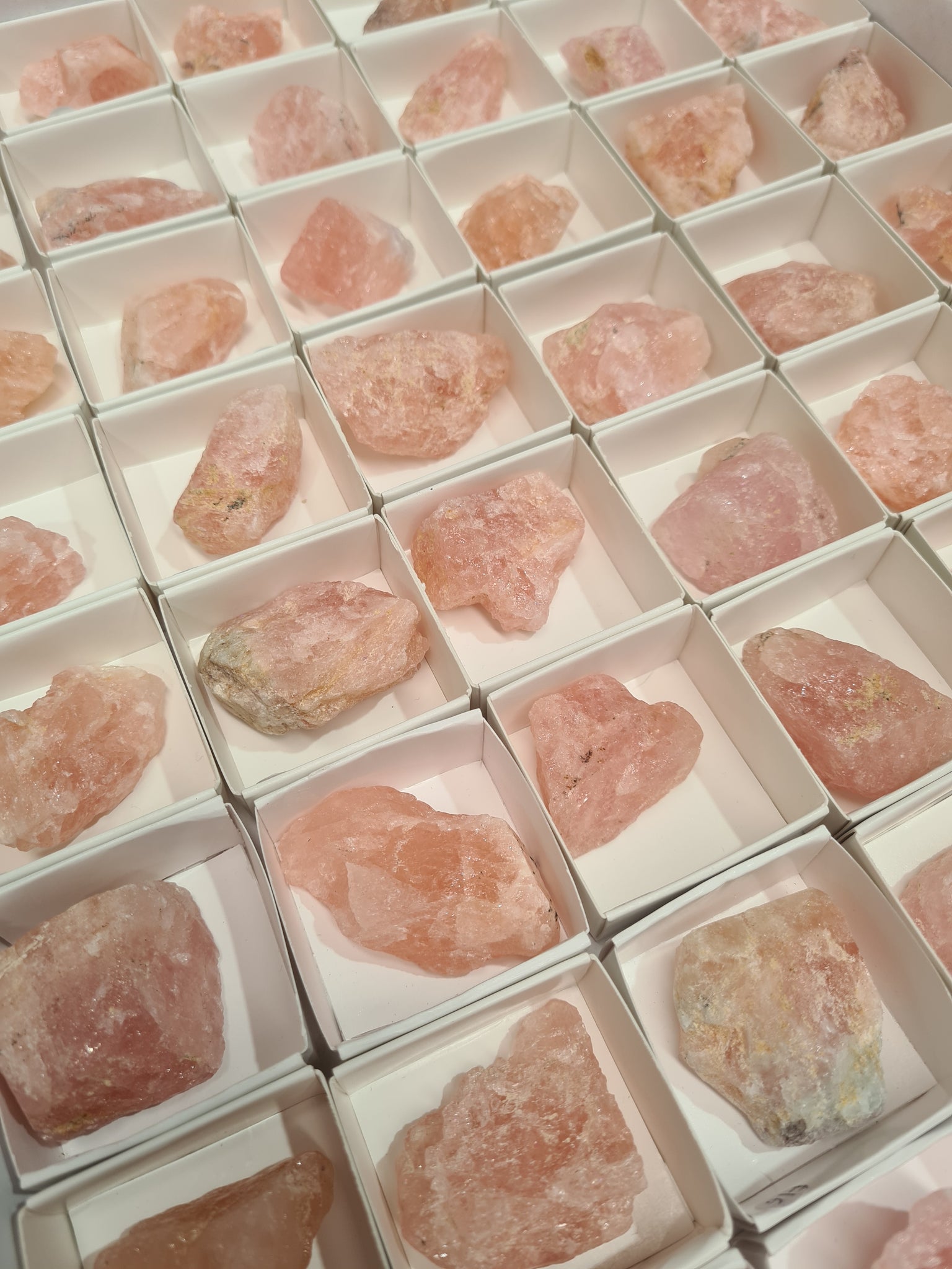 Rough Morganite