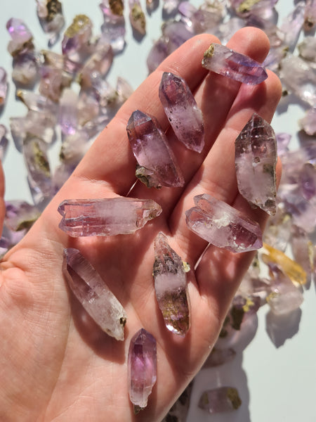 Vera Cruz Amethyst Points