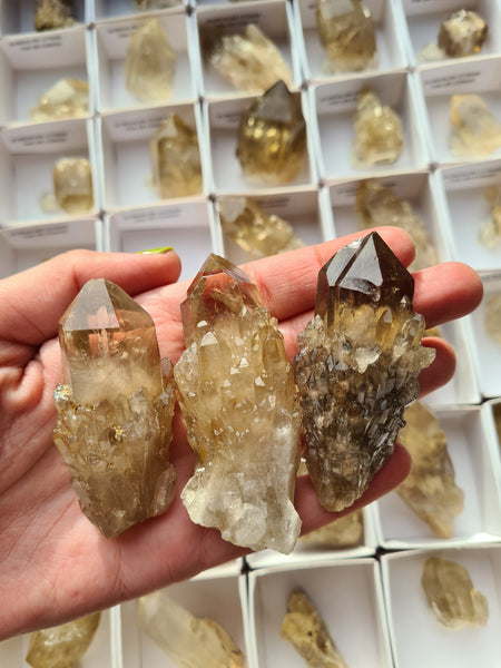 Congo Citrine Points