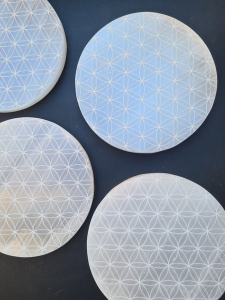 Flower of Life Selenite Discs 15cm