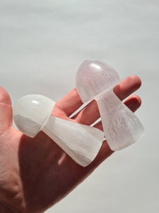 Selenite Mushrooms
