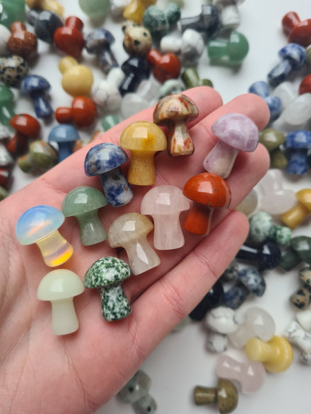 Mixed Mini Mushrooms