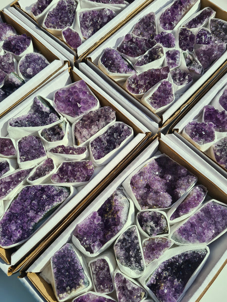 Amethyst Mini Clusters Tray (Brazil)