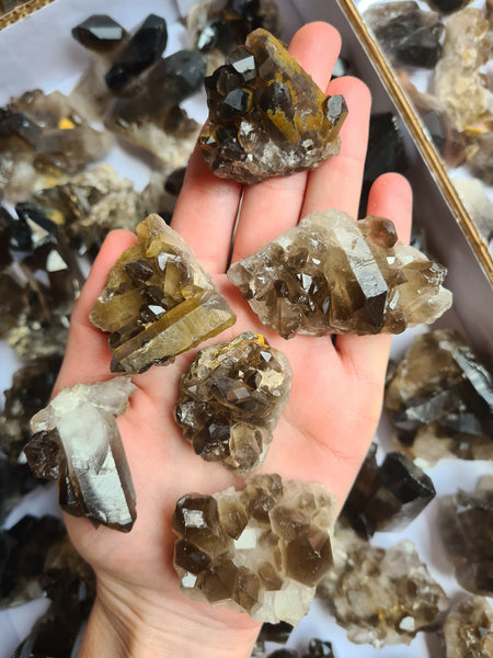 Smoky Quartz Clusters