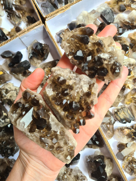 Smoky Quartz Clusters