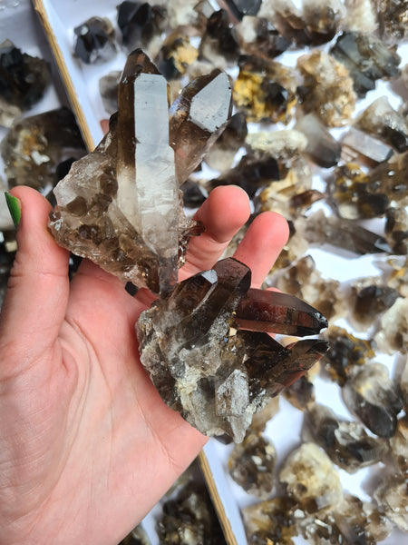 Smoky Quartz Clusters