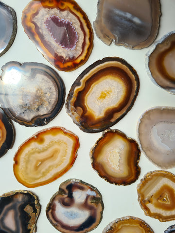 Agate Slices Natural