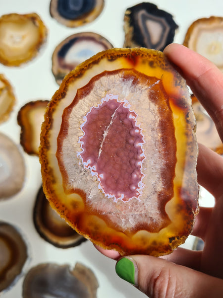 Agate Slices Natural