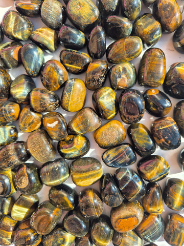 Tiger's Eye Blue Gold Tumbled Stones