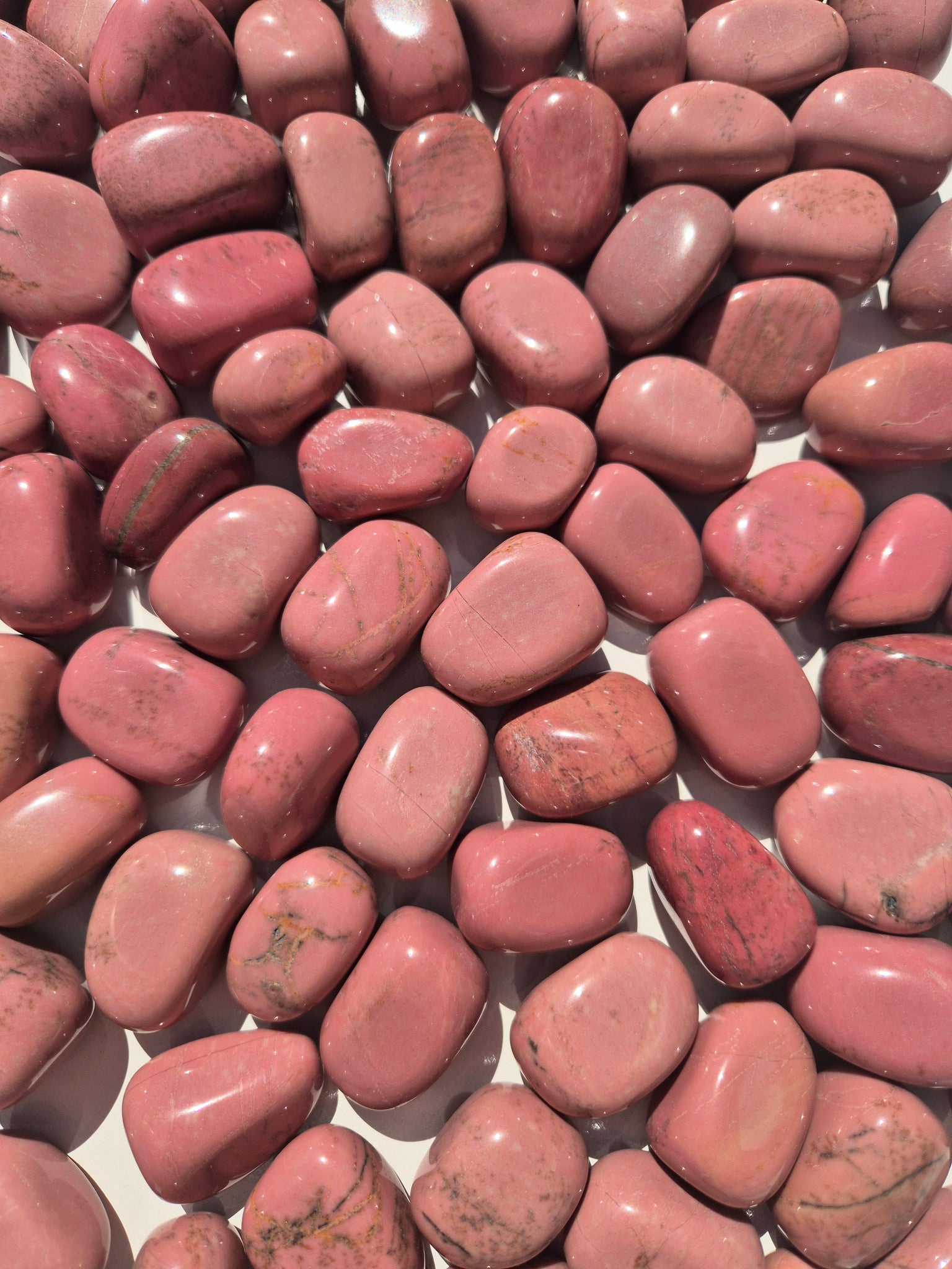 Pink Petrified Wood Tumbled Stones