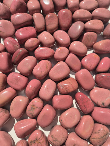 Pink Petrified Wood Tumbled Stones