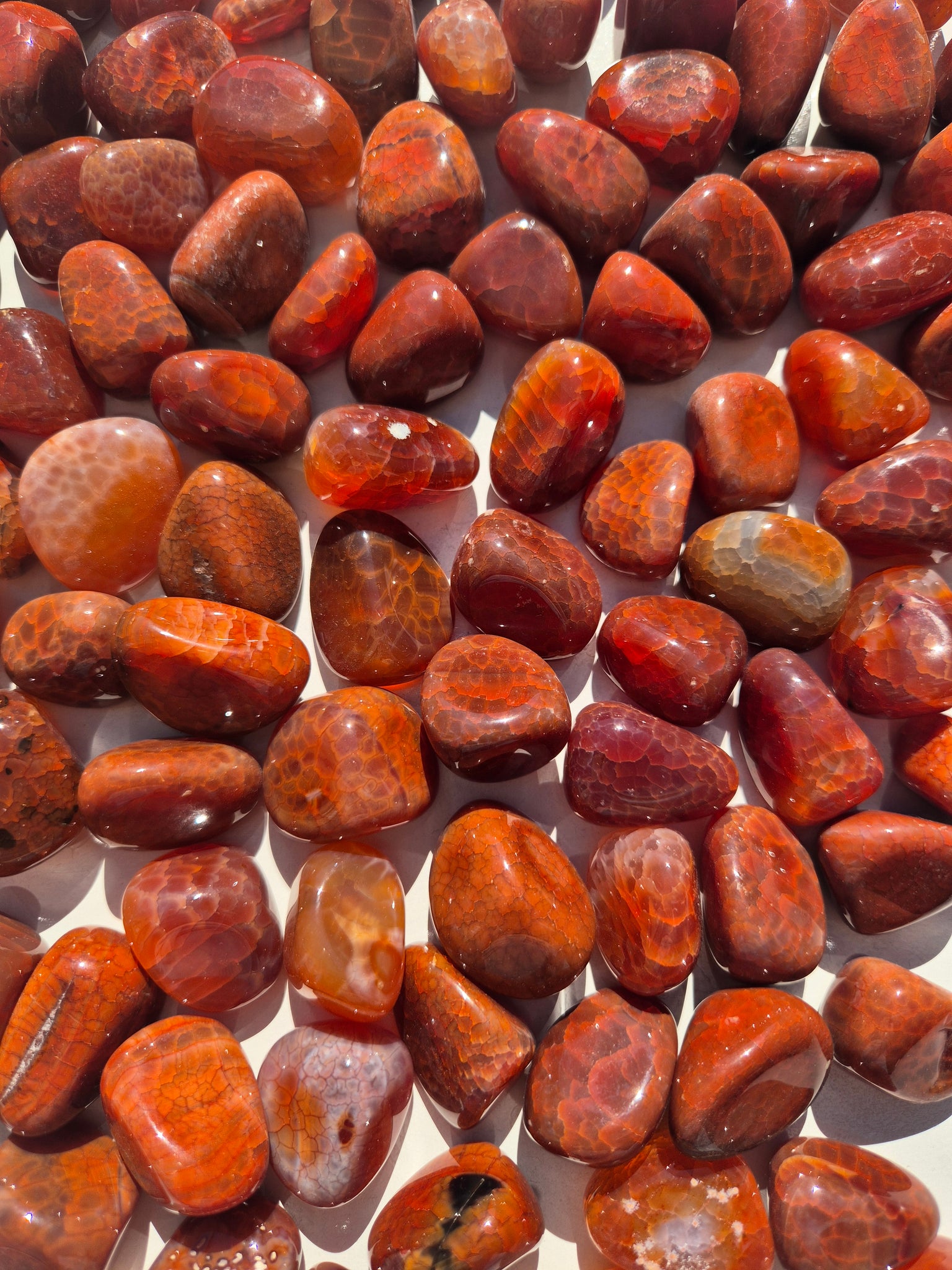Carnelian Snakeskin (Heated) Tumbled Stones