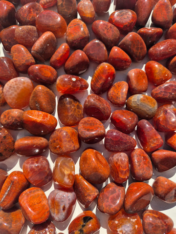 Carnelian Snakeskin (Heated) Tumbled Stones