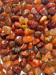 Carnelian (Brazil) Tumbled Stones