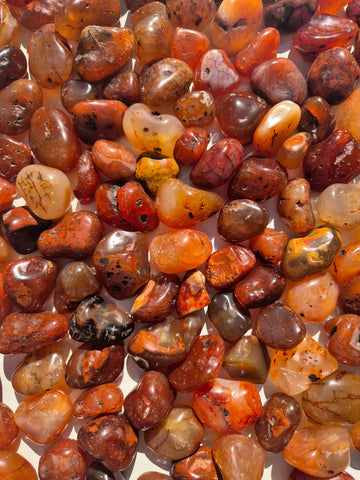 Carnelian (Brazil) Tumbled Stones