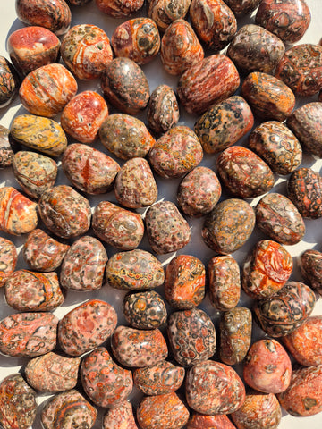 Jasper Leopardskin Tumbled Stones 1KG