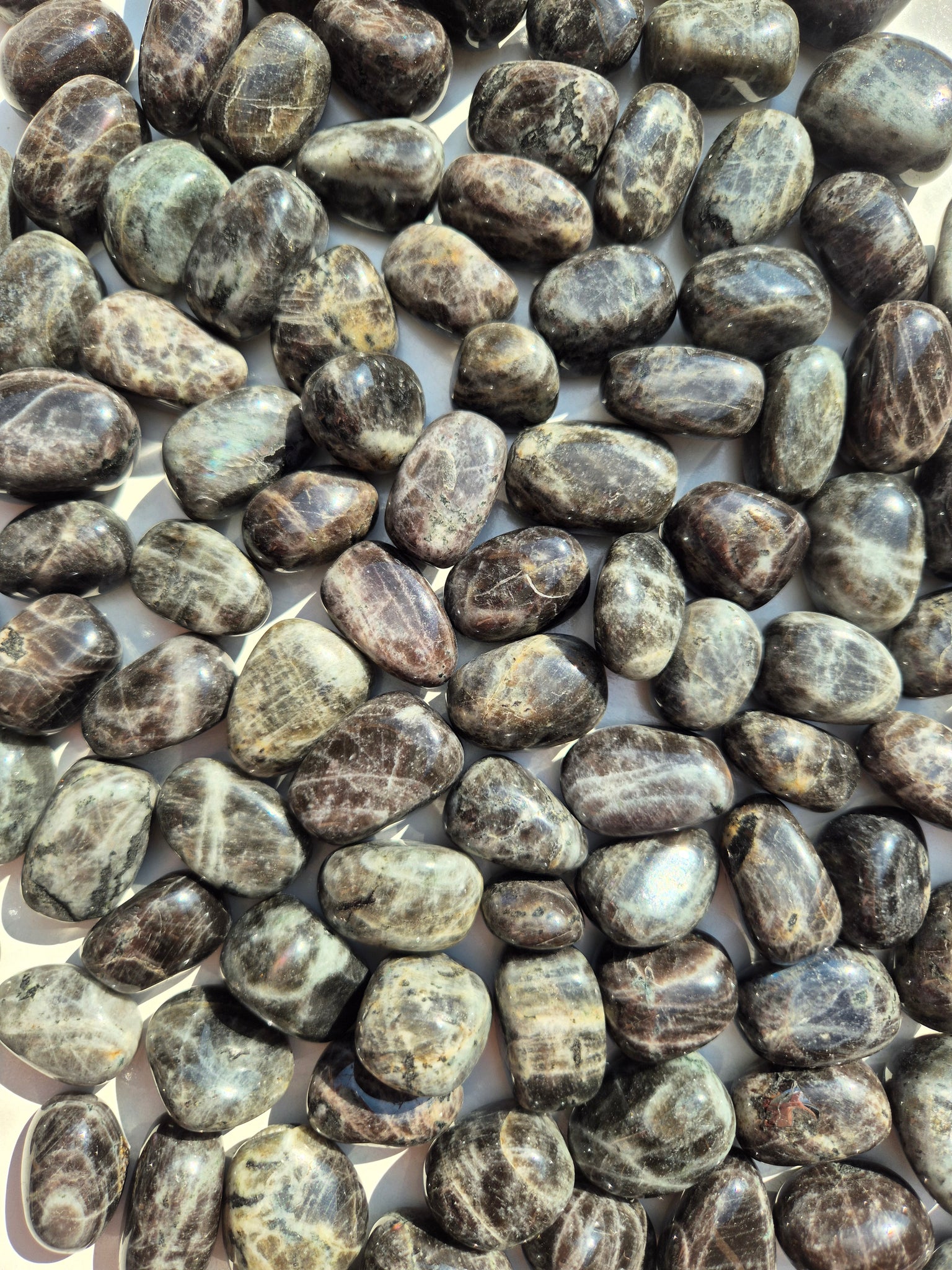 Northosite Tumbled Stones 1KG