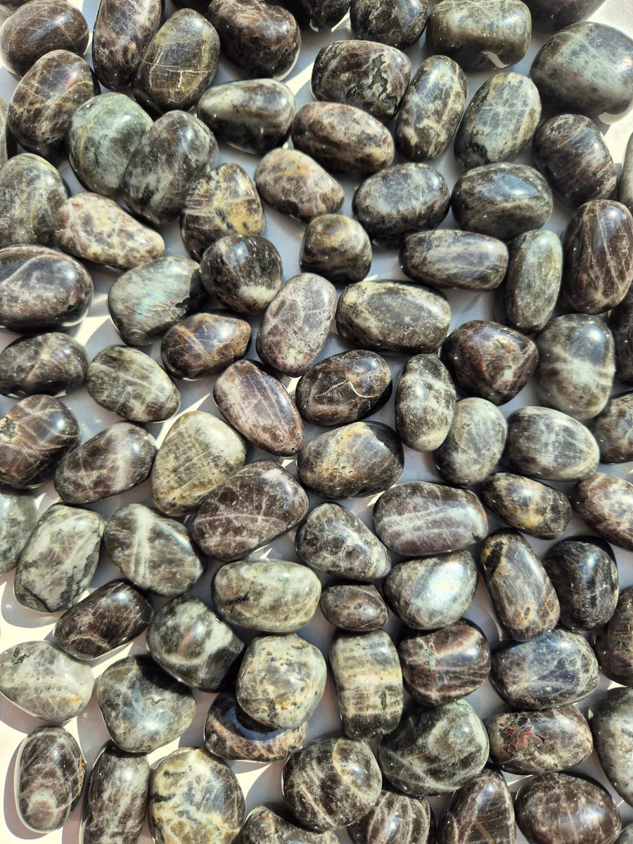 Northosite Tumbled Stones