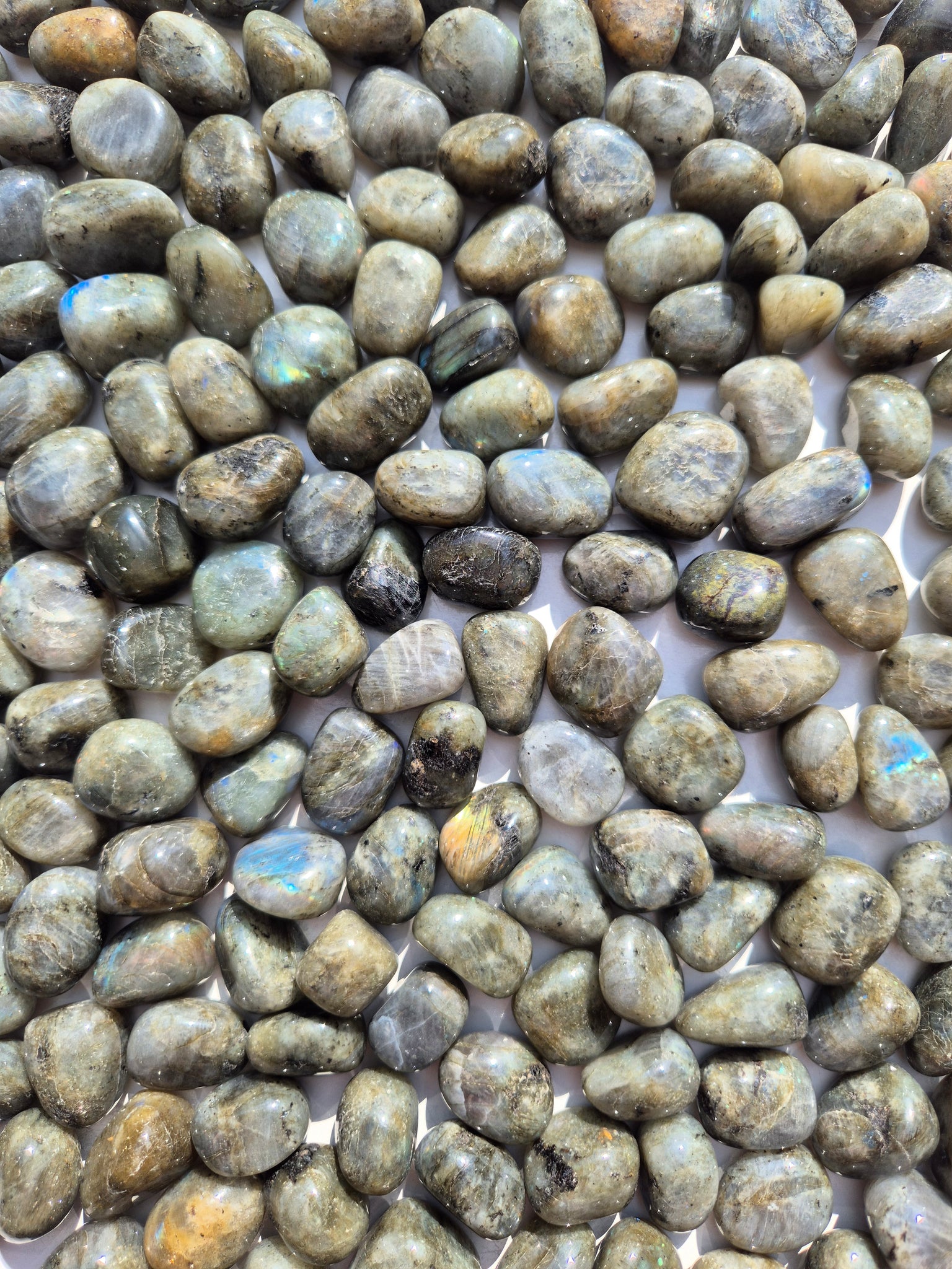 Labradorite Tumbled Stones 1KG
