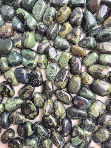 Jasper Kambaba (Green Stromatolite) Tumbled Stones