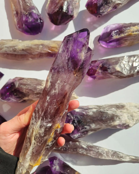 Large Dragon's Tooth Amethyst Points