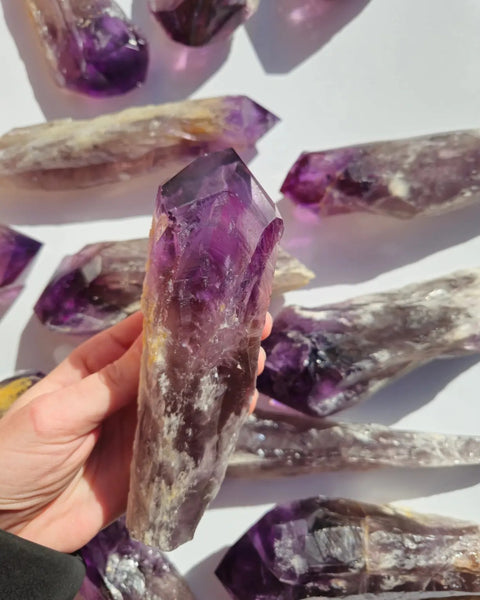 Large Dragon's Tooth Amethyst Points
