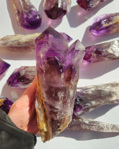 Large Dragon's Tooth Amethyst Points