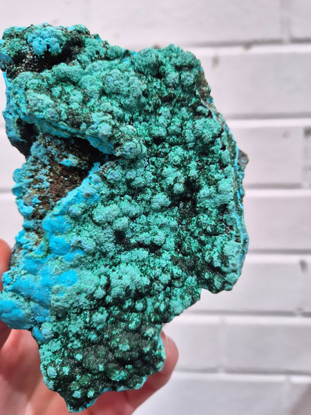 Chrysocolla Malachite Clusters