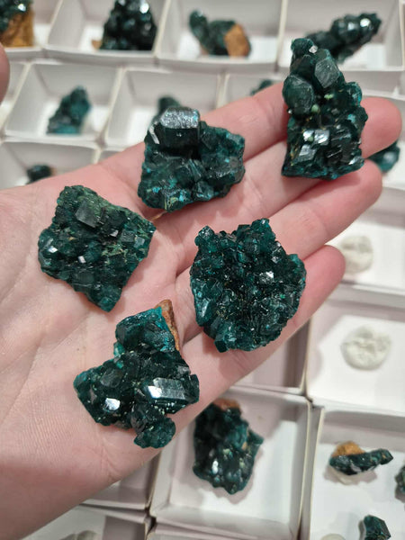 Dioptase Clusters
