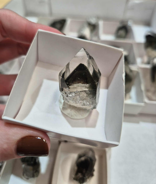 Chlorite Phantom Quartz Points