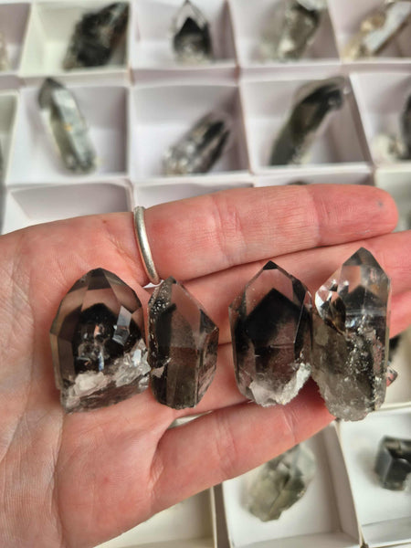 Chlorite Phantom Quartz Points