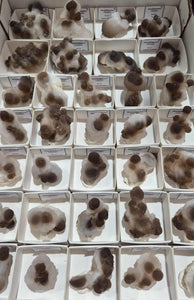 Botryoidal Brown Chalcedony Nodules