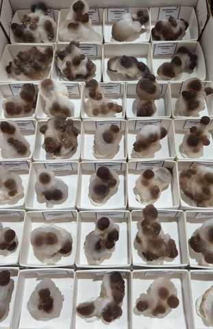Botryoidal Brown Chalcedony Nodules