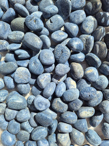 Blue Coral Tumbled Stones 1KG