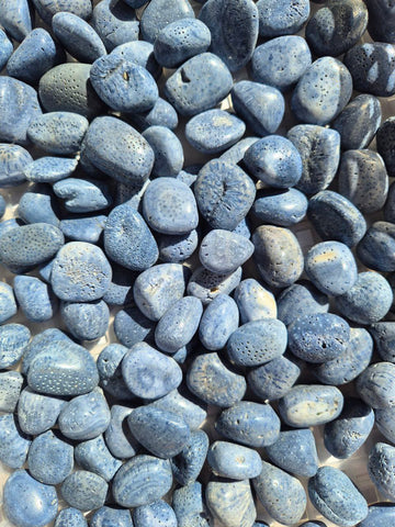 Blue Coral Tumbled Stones 1KG
