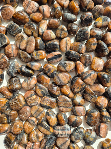 Chiastolite Tumbled Stones