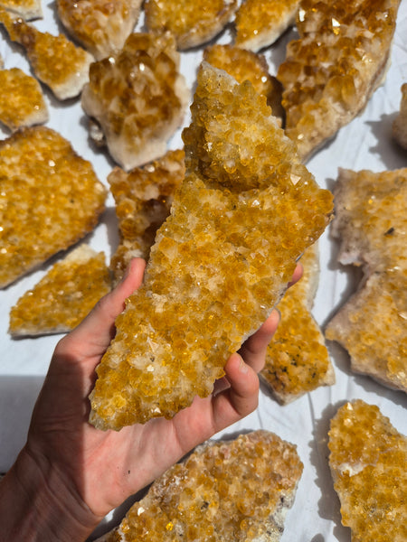 Citrine (Heat Treated Amethyst) Clusters