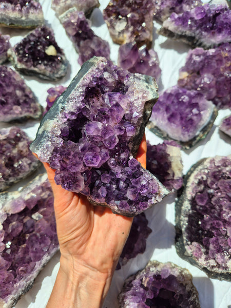 Large Amethyst Clusters (Brazil)