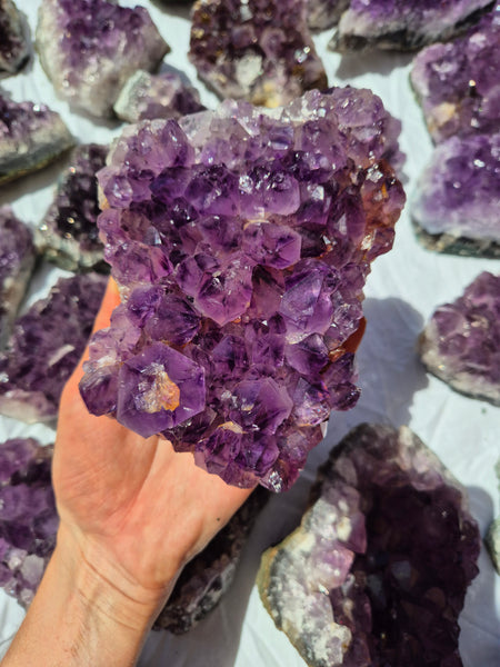 Large Amethyst Clusters (Brazil)