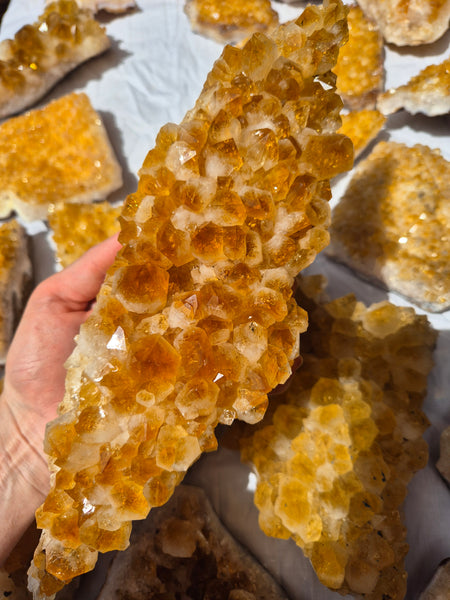 Citrine (Heat Treated Amethyst) Clusters