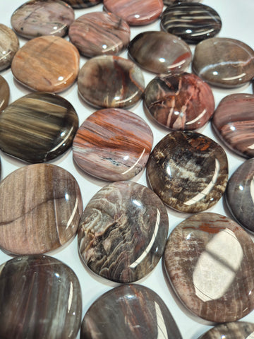 Petrified Wood Flatstones