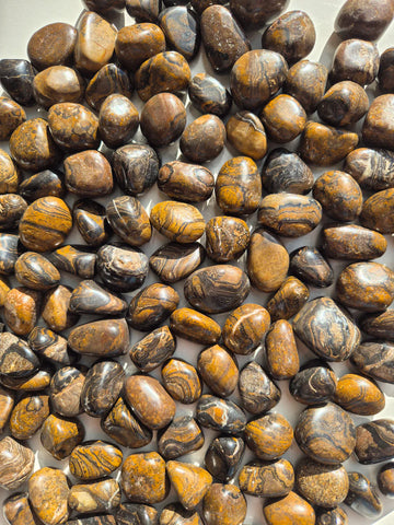 Stromatolite Tumbled Stones