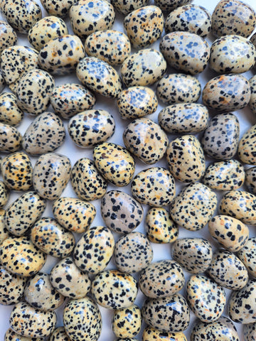Jasper Dalmation Tumbled Stones